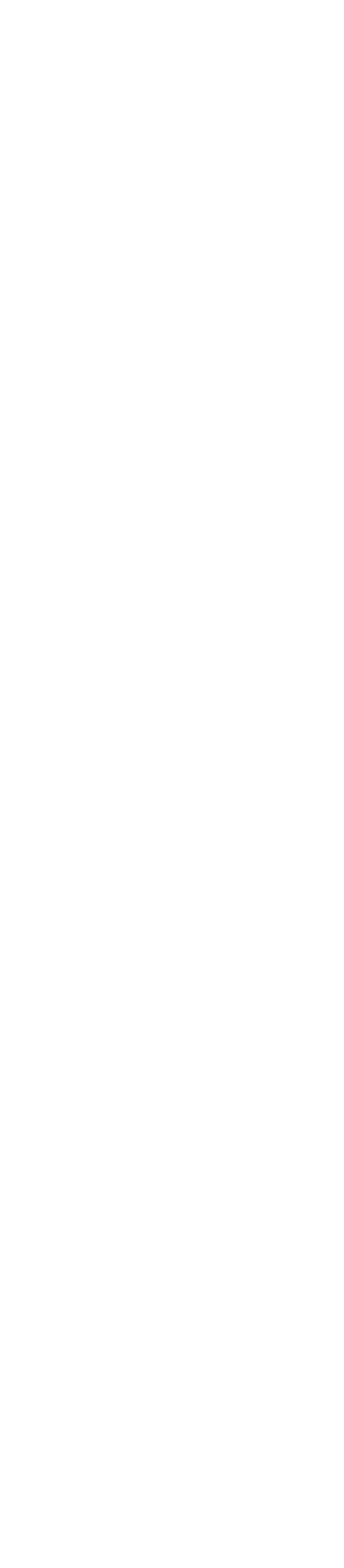 Citadel Logo White